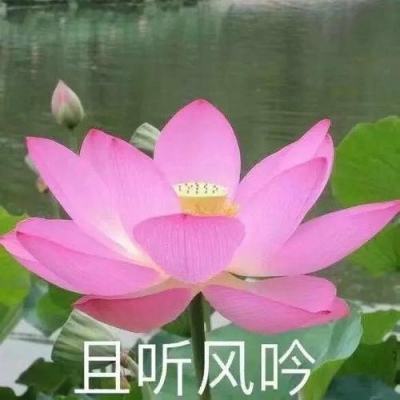 广东福彩去年筹集公益金逾50亿元